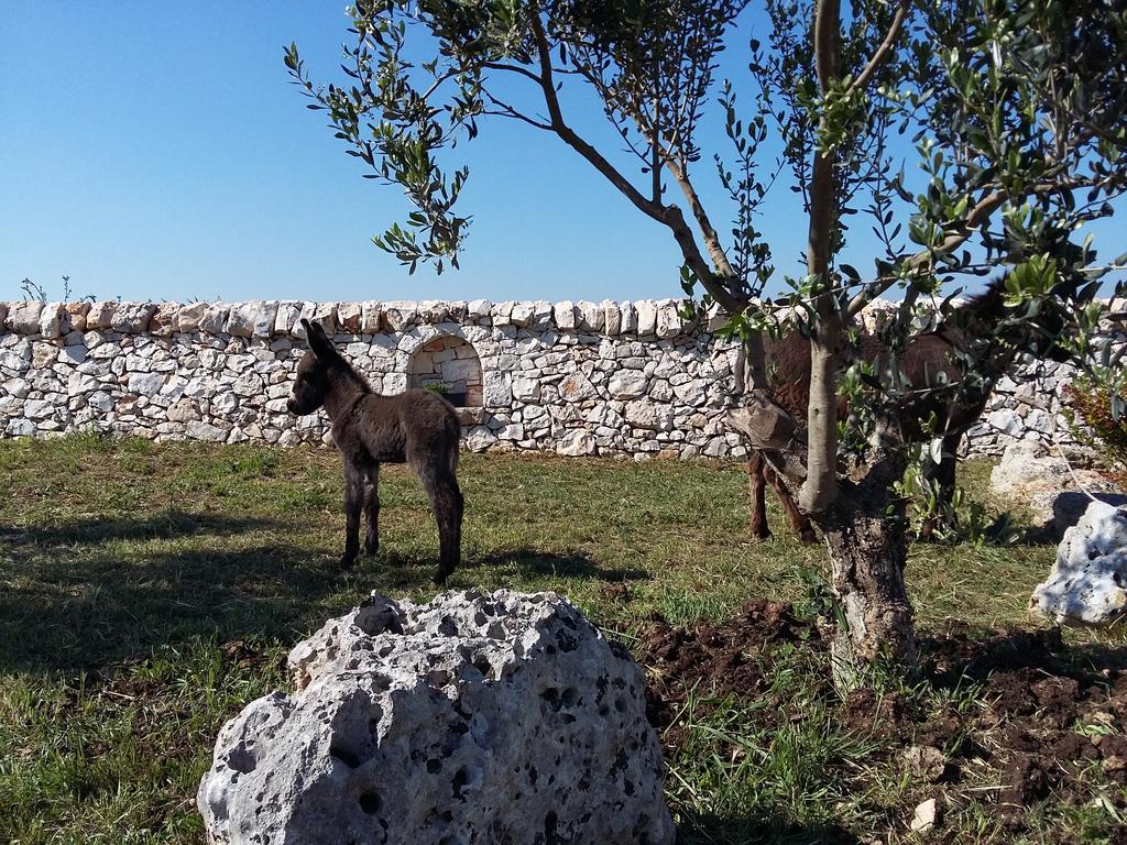 Agriturismo Masseria Casedde Vecchie Βίλα Μαρτίνα Φράνκα Εξωτερικό φωτογραφία